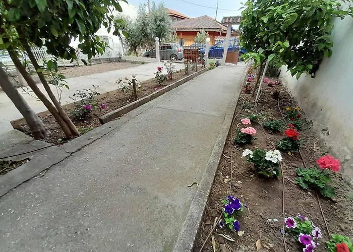 Lemon Tree Apartment