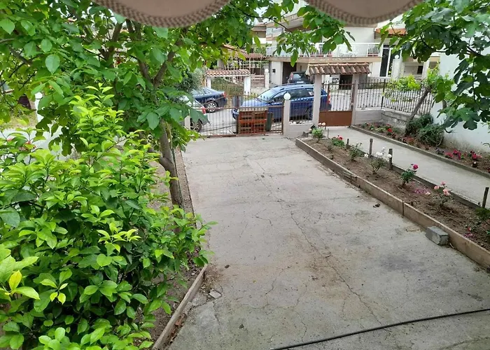 Lemon Tree Apartment