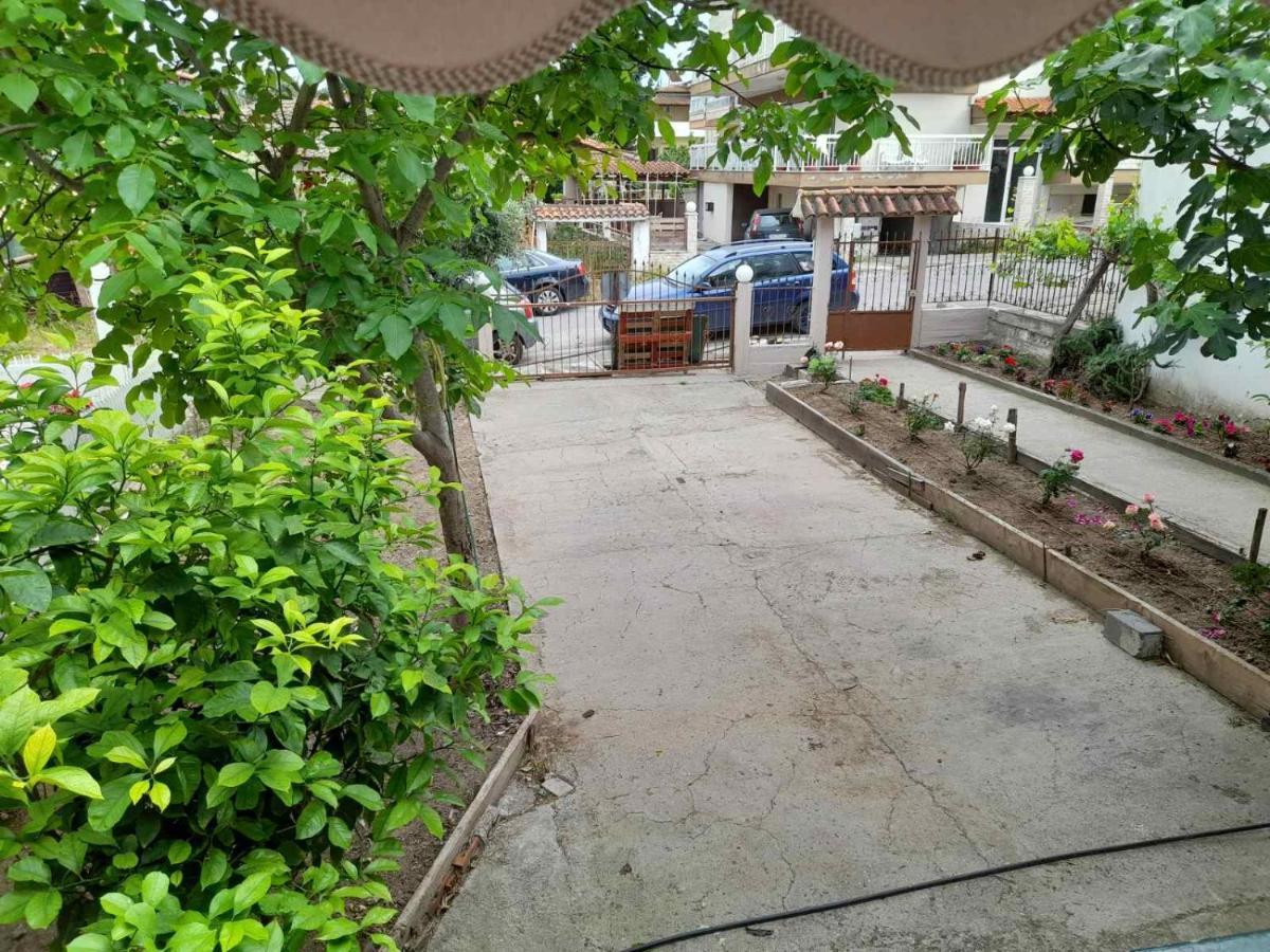 Lemon Tree Apartment *
